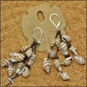 Shells and Coconut Earrings