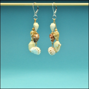 Tiger Moon and Nassa Shell Earrings
