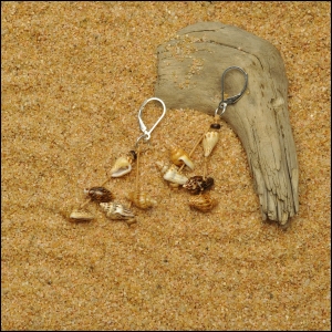 Tan and Brown Nassa Shell Earrings